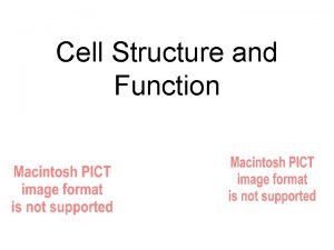 Cell Structure and Function The Cell Theory All