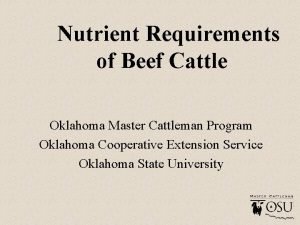Nutritional requirements for beef cattle