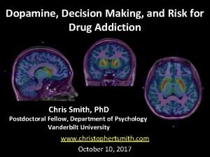 Dopamine Decision Making and Risk for Drug Addiction