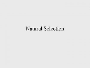 Natural Selection Darwin vs Lamarck Lamarck animals pa