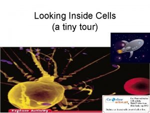Looking Inside Cells a tiny tour 1 What