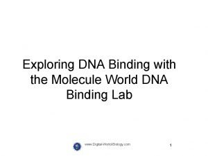 Exploring DNA Binding with the Molecule World DNA