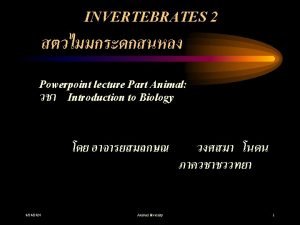 Phylum Mollusca 9242020 Animal diversity 2 Phylum Mollusca