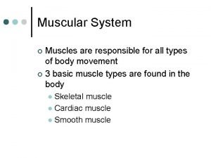 Muscular System Muscles are responsible for all types
