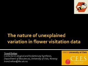 The nature of unexplained variation in flower visitation