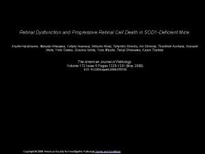 Retinal Dysfunction and Progressive Retinal Cell Death in