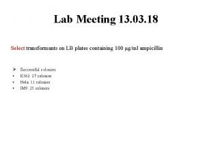 Lab Meeting 13 03 18 Select transformants on