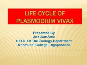 Life cycle of plasmodium vivax