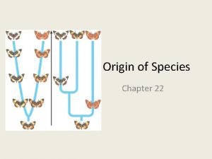 Chapter 22 the origin of species