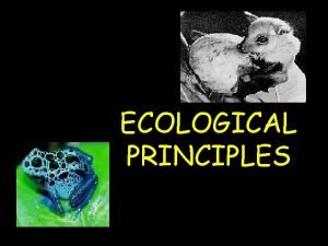 ECOLOGICAL PRINCIPLES Concept 1 Ecology BIOSPHERE a thin