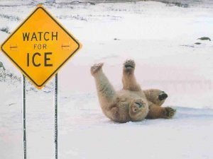 THE EFFECTS OF FRICTION FRICTION Friction resists motion THE EFFECTS OF FRICTION FRICTION Friction resists motion