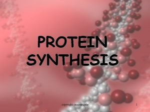 PROTEIN SYNTHESIS copyright cmassengale 1 Protein Synthesis DNA