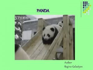 Panda regina