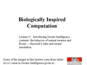 Biologically Inspired Computation Lecture 9 Introducing Swarm Intelligence