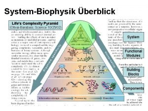 SystemBiophysik berblick Lifes Complexity Pyramid OltvaiBarabasi Science 102502