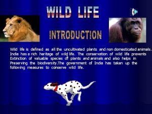 Non domesticated animals and uncultivated plant life