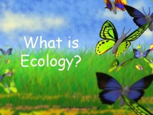 What is Ecology copyright cmassengale 1 Organisms and