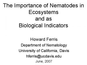 The Importance of Nematodes in Ecosystems and as