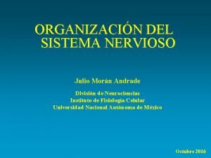 Diferencia entre sinapsis quimica y electrica