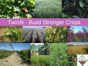 Twin N Build Stronger Crops What is Twin