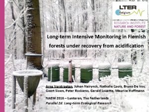 Longterm Intensive Monitoring in Flemish forests under recovery