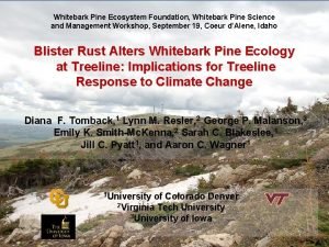 Whitebark Pine Ecosystem Foundation Whitebark Pine Science and