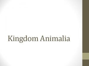 Domain of animalia Domain of animalia
