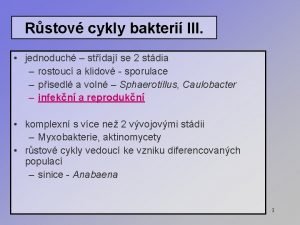 Rstov cykly bakteri III jednoduch stdaj se 2