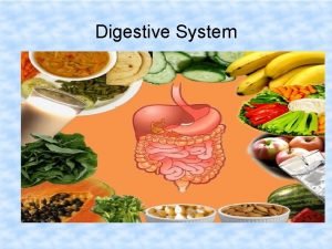 Digestive System Dr Spandana Charles Digestive System The
