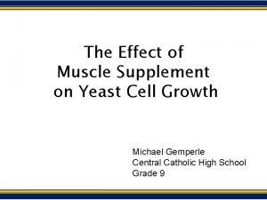 The Effect of Muscle Supplement on Yeast Cell