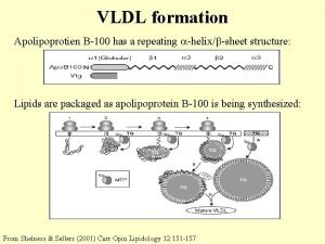 VLDL formation Apolipoprotien B100 has a repeating helix