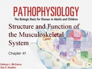 Structure and Function of the Musculoskeletal System Chapter