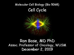 Molecular Cell Biology Bio 5068 Cell Cycle Ron