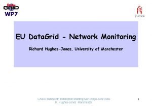 EU Data Grid Network Monitoring Richard HughesJones University