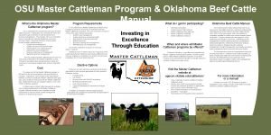 Osu master cattleman program