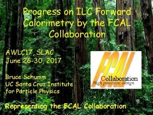 Progress on ILC Forward Calorimetry by the FCAL