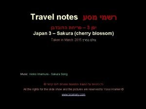 Travel notes 3 Japan 3 Sakura cherry blossom