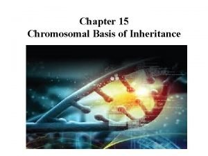 Chapter 15 Chromosomal Basis of Inheritance Concept 15