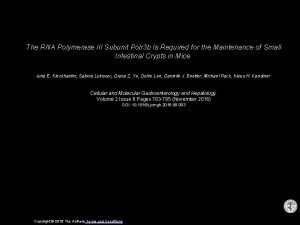 The RNA Polymerase III Subunit Polr 3 b