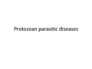 Protozoan parasitic diseases Diagnosis method wet mount of