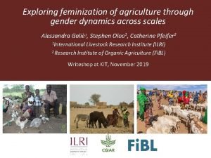 Exploring feminization of agriculture through gender dynamics across