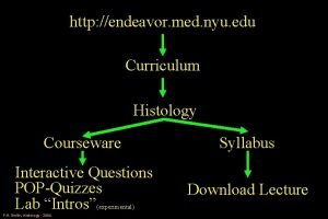 http endeavor med nyu edu Curriculum Histology Courseware