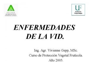 ENFERMEDADES DE LA VID Ing Agr Vivienne Gepp