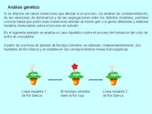 Anlisis gentico Si se dispone de varias mutaciones