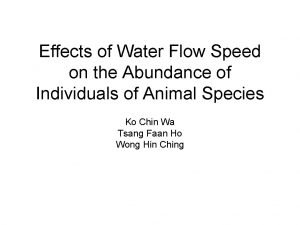 Water flow speed