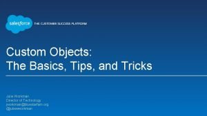 Custom Objects The Basics Tips and Tricks Julie