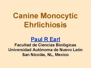 Canine Monocytic Ehrlichiosis Paul R Earl Facultad de