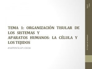 Dpto E Fisica ANATOMA APLICADA IES Virgen de