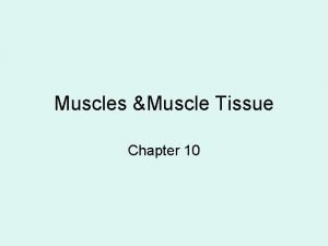 Muscles Muscle Tissue Chapter 10 Functions of Skeletal