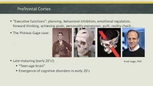Prefrontal Cortex Executive functions planning behavioral inhibition emotional